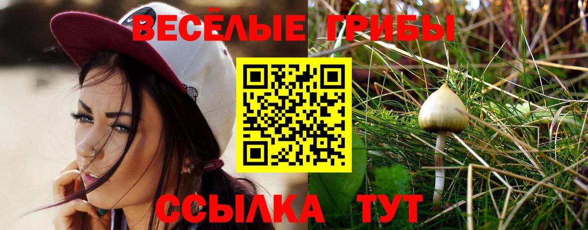 Галлюциногенные грибы Cubensis  Вход с VPN  закладка  Галлюциногенные грибы ЛСД  Куйбышев 